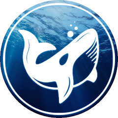 Ocean Calm 8K