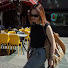 9Ld_TFxoEcY-channel-avatar-kobo in china