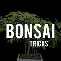 Bonsai Tricks And a Lot More Channel icon
