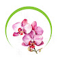 Happy Orchids logo