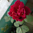 @khaledasharmin9114