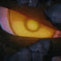 Hcuj72sTouU-channel-avatar-ROT