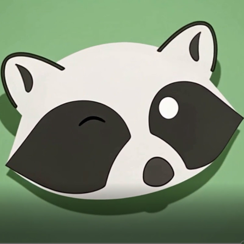Racoon