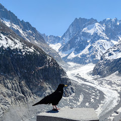 Potatobiter channel thumbnail