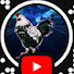 biO88Ypqxrs-channel-avatar-POLLO