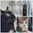 @Kimba-Kiara-Dario-the_Cats3
