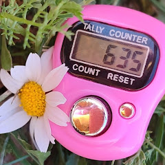 مفتاح الرحمة 