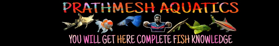 Prathmesh Aquatics YouTube channel avatar
