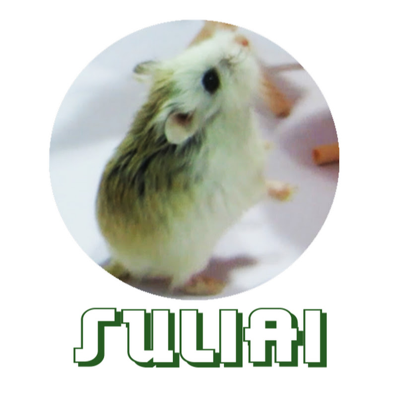 Channel Avatar
