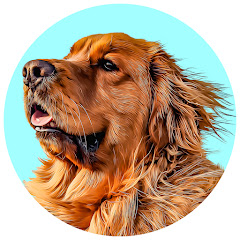 Butters The Golden Retriever