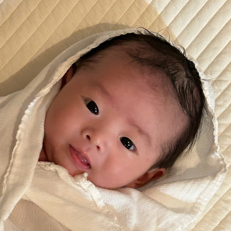 둥지파파