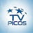 TV Picos - Faz parte da gente