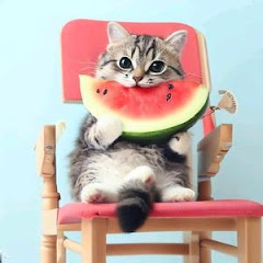 吃瓜蒙主アイコン画像