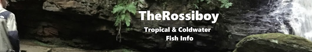TheRossiboy YouTube-Kanal-Avatar