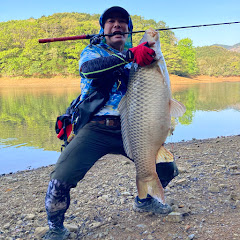 Câu cá japan