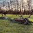 zXVZZ8fe9Es-channel-avatar-Blattschussblog_Jagen_in_MV