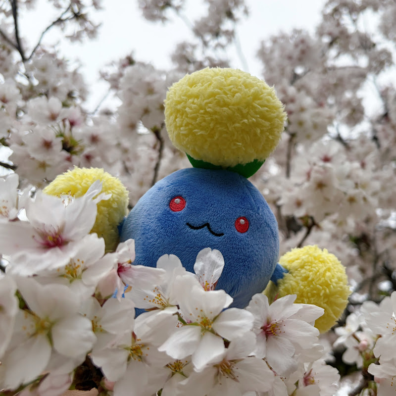 ももぺち