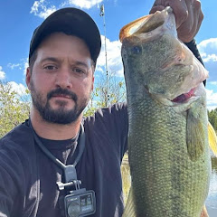 Chase Catches
