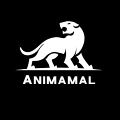 Thumbnail of related channel