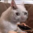 @휘휘바바