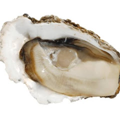 岩牡蠣アイコン画像