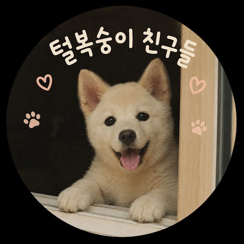 쇼츠의방