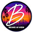 MB-UfPL6qIk-channel-avatar-Beans AI View
