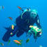 1eh6Fz_0KDk-channel-avatar-Eduardo Mario Di Tata (E&M VIDEO)