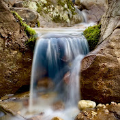 Memphis Water Gardens