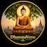 INekIeA6wBw-channel-avatar-Dhamma Verse