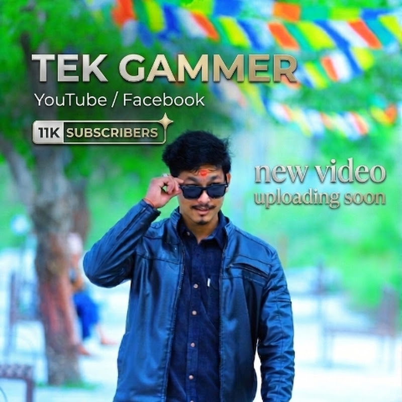 TEK GAMMER