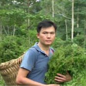 Green forest life