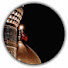 Kh0UTBNSVLo-channel-avatar-islamic_shayari_012 and Islamic status005