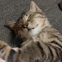 まめまるとの幸せ日記 I am Mamemaru!