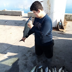 Balık De Bana