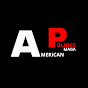 AMERICAN POLITICS MAGA logo