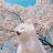 @illiilli-d4v