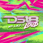 DS18 Car Audio  logo