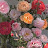 @YoYo-zm1vf
