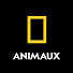 LDO_mSEzyTg-channel-avatar-National Geographic Animaux