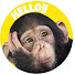 51R2r31bPmY-channel-avatar-Hello Chimpazee 猩齊天TV