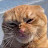 @timothy2491's avatar