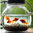 @Kettle_Of_Fish