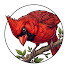 W_HeuCiE1sI-channel-avatar-Wild Bird Whisper