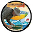 DBBg9HTMfQQ-channel-avatar-Carl Madley