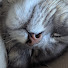 DYMAylXEgDU-channel-avatar-RealYoStuffLike