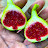 South Georgia Figs