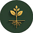 DsrWrX1EuTk-channel-avatar-Roots & Remedy 