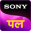 What could Sony PAL buy with $72.45 million?