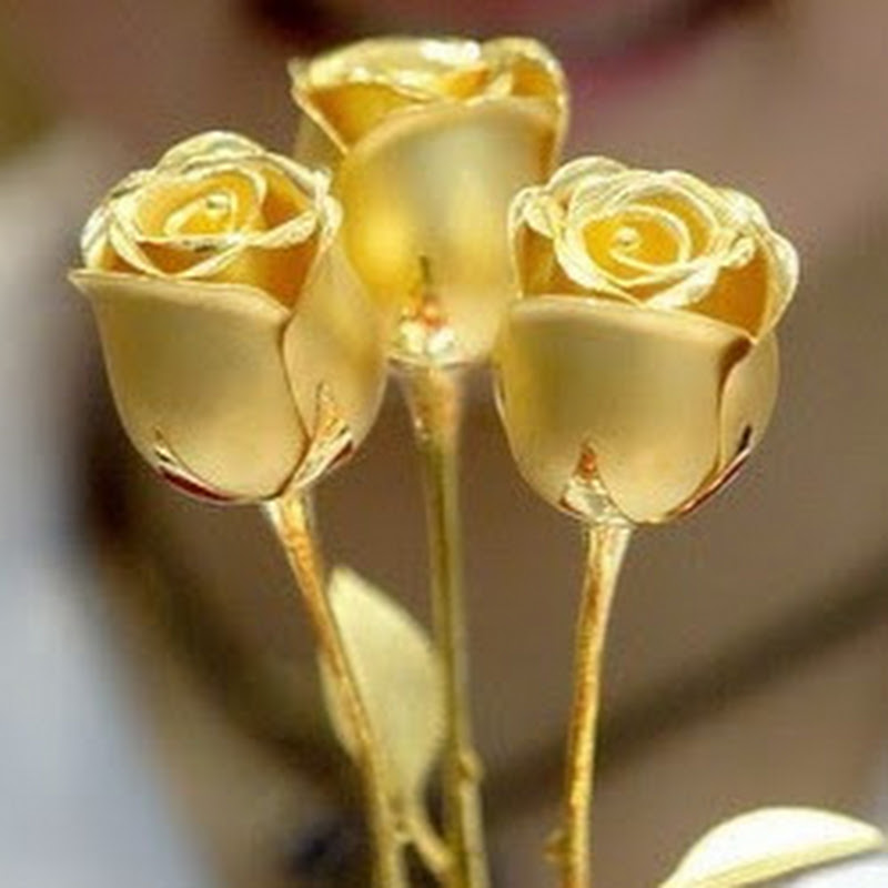 Richer看世界 Logo